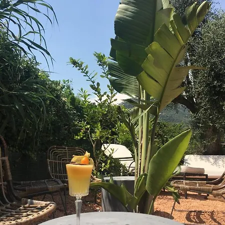 Avocado Restaurant Hotel